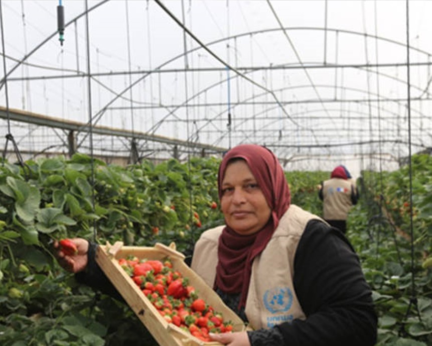 المزرعة الرقمية للنساء